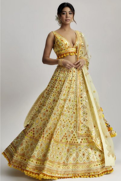 Alani Lehenga Set