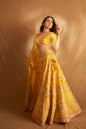 Golconda Anha Lehenga set