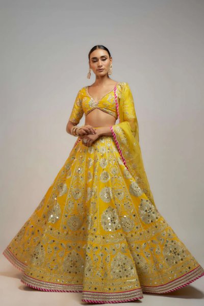 Golconda Anha Lehenga set