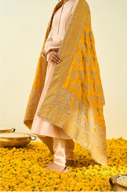 GLAZE MUSTARD PAISLEY TILLA EMBROIDERY ODHNI