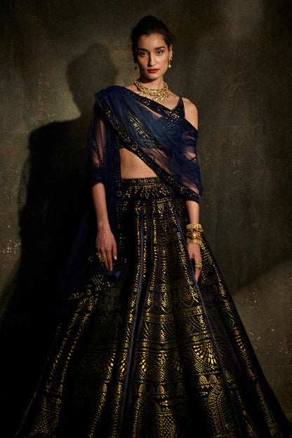 Navy Blue Velvet Lehenga Set