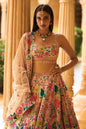 Multi - Coloured Floral Lehenga Set