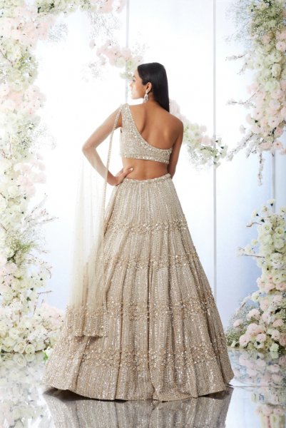 Champgane Sequin Lehenga Set