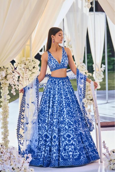 Blue on Blue Resham Work Lehenga Set