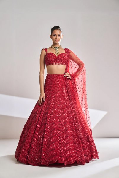 Red Leaf Lehenga Set