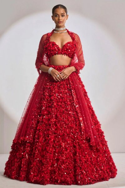 Red Three-Dimensional Lehenga Set