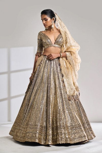 Deep Wine Sequin Lehenga Set