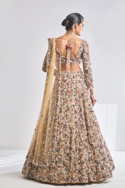 Jewelled Lehenga Set