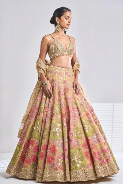 Multi-Coloured Gold Lehenga Set