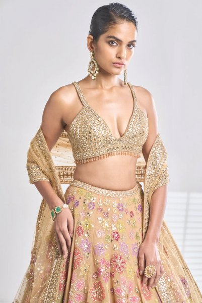 Multi-Coloured Gold Lehenga Set