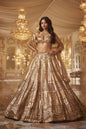 Antique Gold Lehenga Set