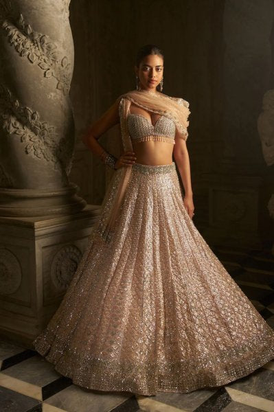 Powder Peach Sequin Lehenga Set