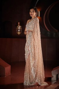 Sequin Net Saree