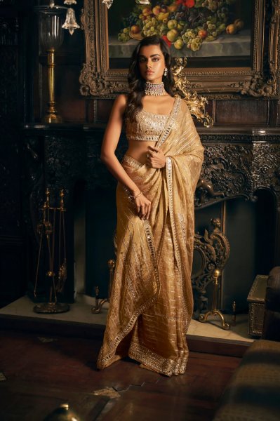 Gold Mirror Work Saree