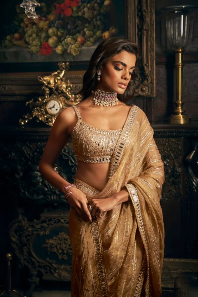 Gold Mirror Work Saree