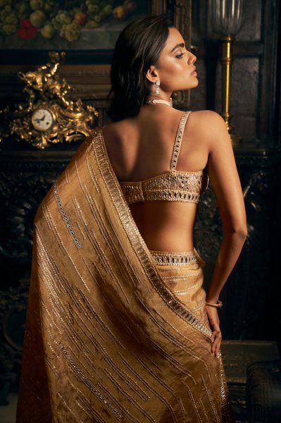 Gold Mirror Work Saree