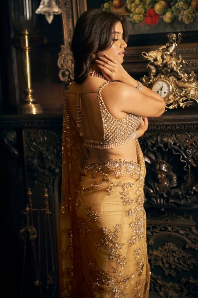 Gold Net Saree