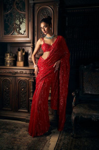 Red Sequin Net Saree