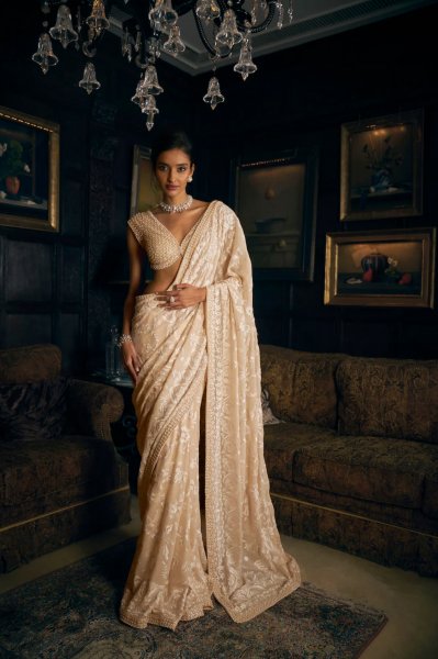 Nude Thread Work Saree