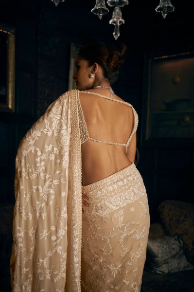 Nude Thread Work Saree