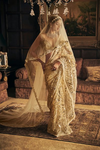 Cream Gold Mirror Work Saree