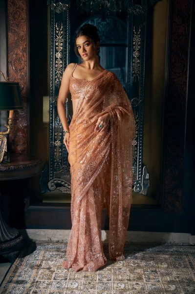 Copper Sequin Saree