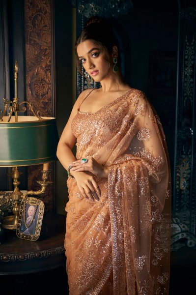 Copper Sequin Saree