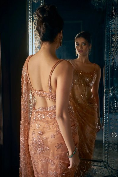 Copper Sequin Saree