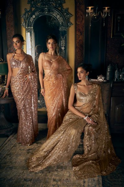 Copper Sequin Saree