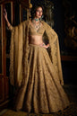 Gold Three-Dimensional Lehenga Set