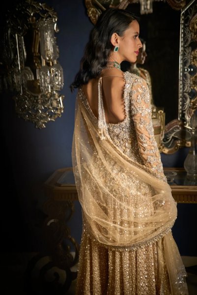 Nude Silver Sharara Set