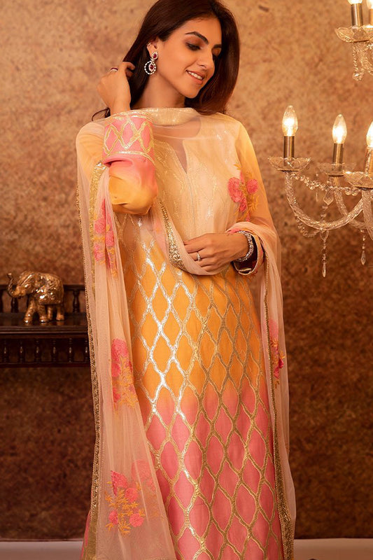 Multi Colored Ombre Embroidered Kurta Set